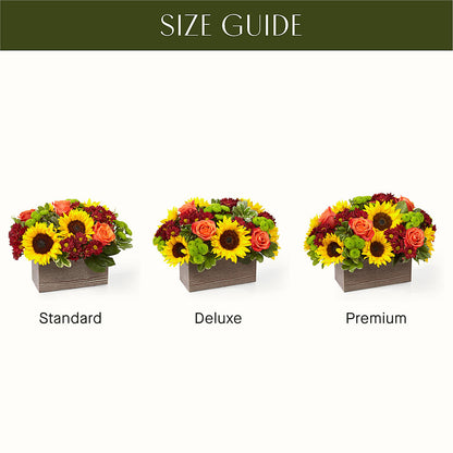 Happy Harvest Garden –  The Blessed Florist, Brandon FL