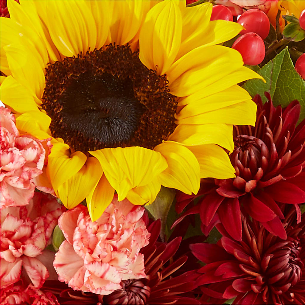 Fresh Cider Bouquet –  The Blessed Florist, Brandon FL