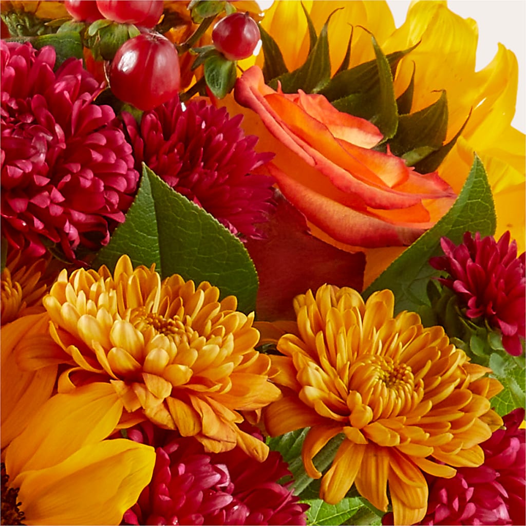 Sweater Season - A Florist Original –  The Blessed Florist, Brandon FL