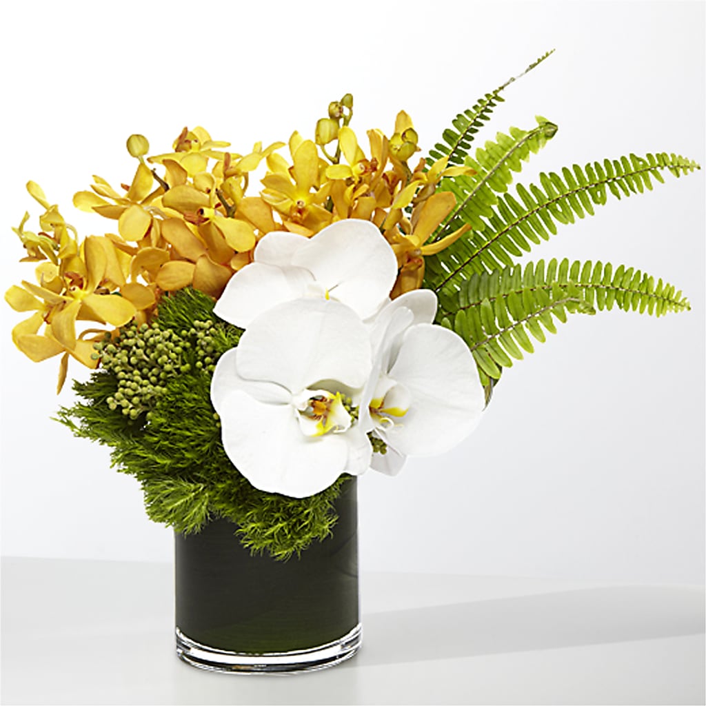 The Tropics –  The Blessed Florist, Brandon FL