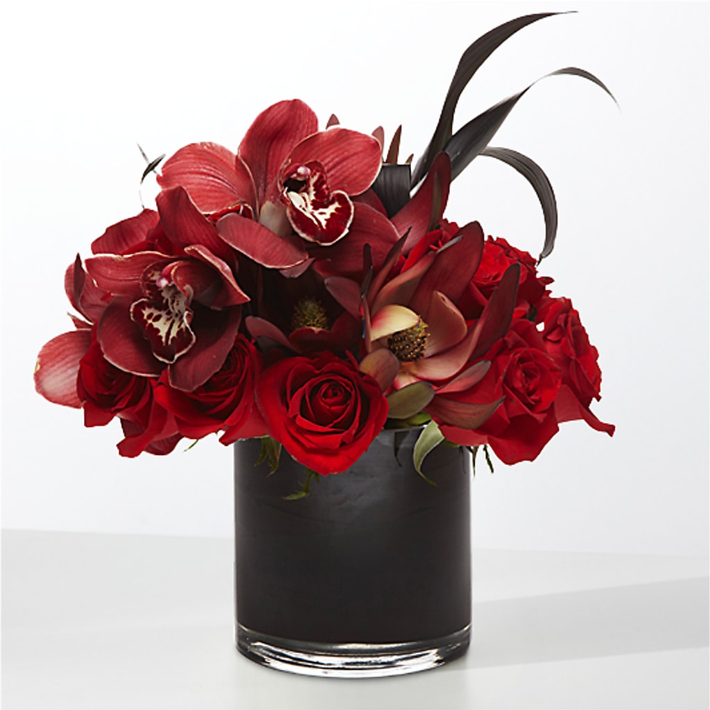 The Eclipse –  The Blessed Florist, Brandon FL