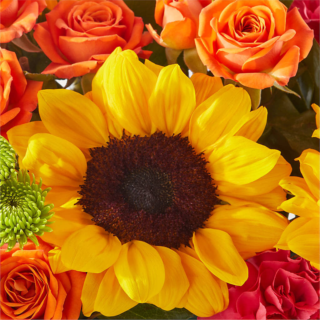 Sun-drenched Blooms Box Bouquet –  The Blessed Florist, Brandon FL