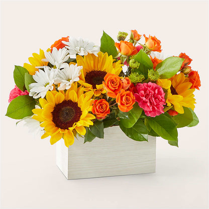 Sun-drenched Blooms Box Bouquet –  The Blessed Florist, Brandon FL