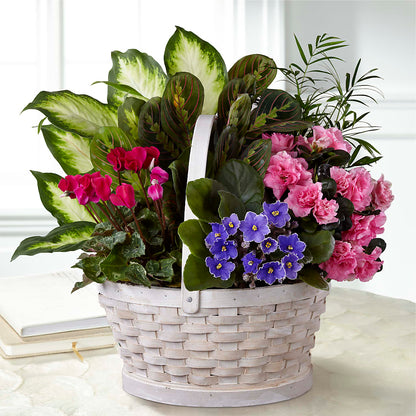 Peaceful Garden Planter –  The Blessed Florist, Brandon FL