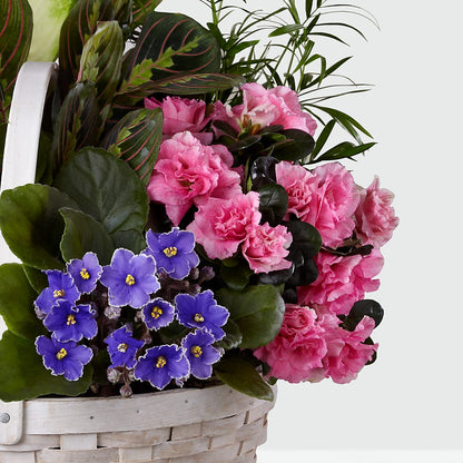 Peaceful Garden Planter –  The Blessed Florist, Brandon FL