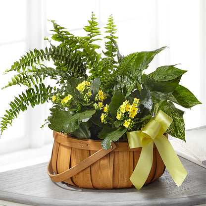 Always Dear Dishgarden –  The Blessed Florist, Brandon FL