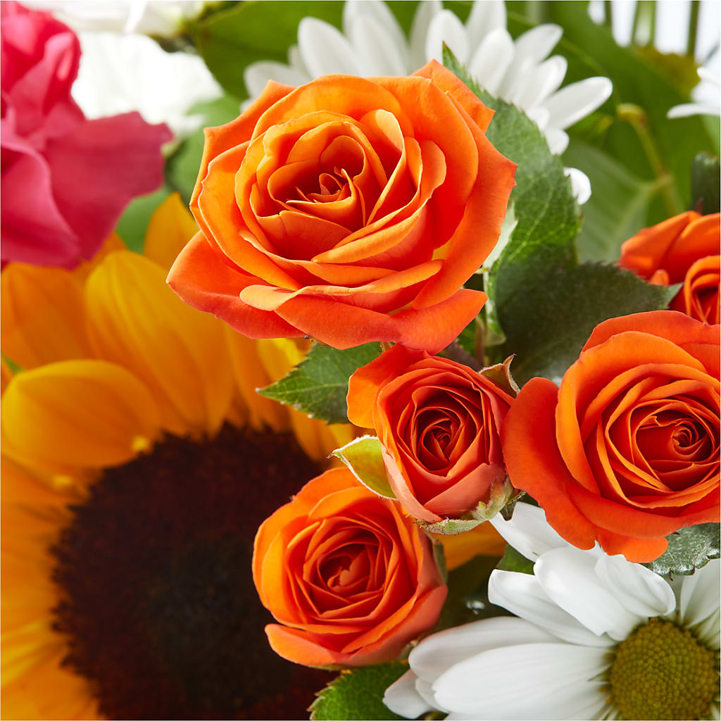 Sun-drenched Blooms Bouquet –  The Blessed Florist, Brandon FL