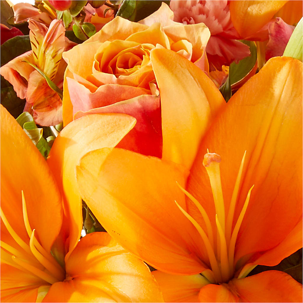 Afternoon Light Bouquet –  The Blessed Florist, Brandon FL
