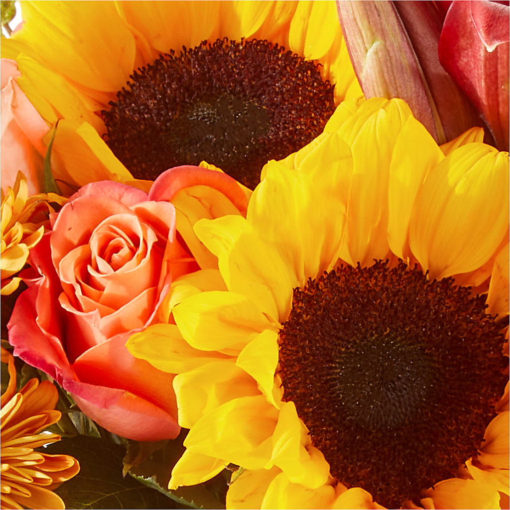 Acorn Lane Bouquet –  The Blessed Florist, Brandon FL
