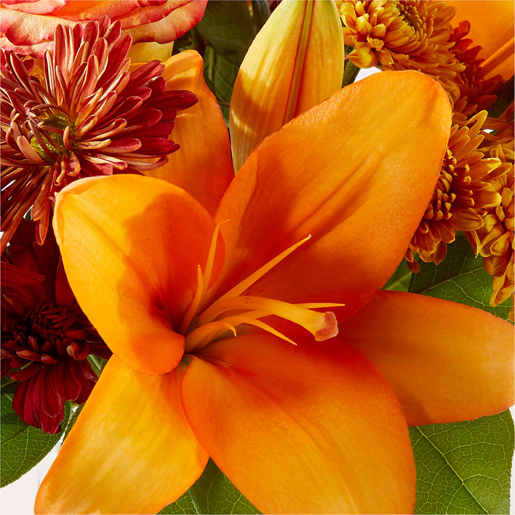 Autumnal Aroma Bouquet –  The Blessed Florist, Brandon FL