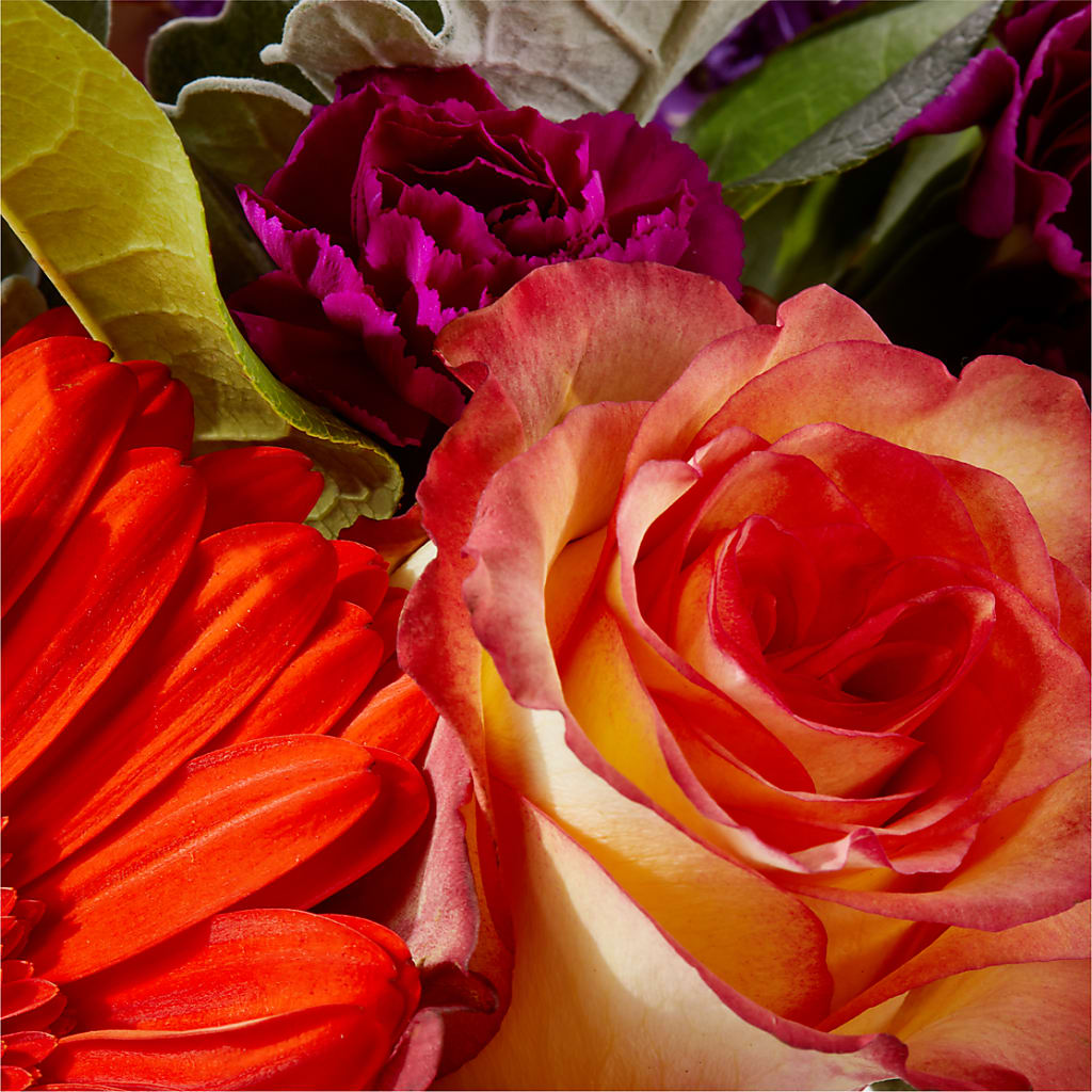Sangria Bouquet –  The Blessed Florist, Brandon FL