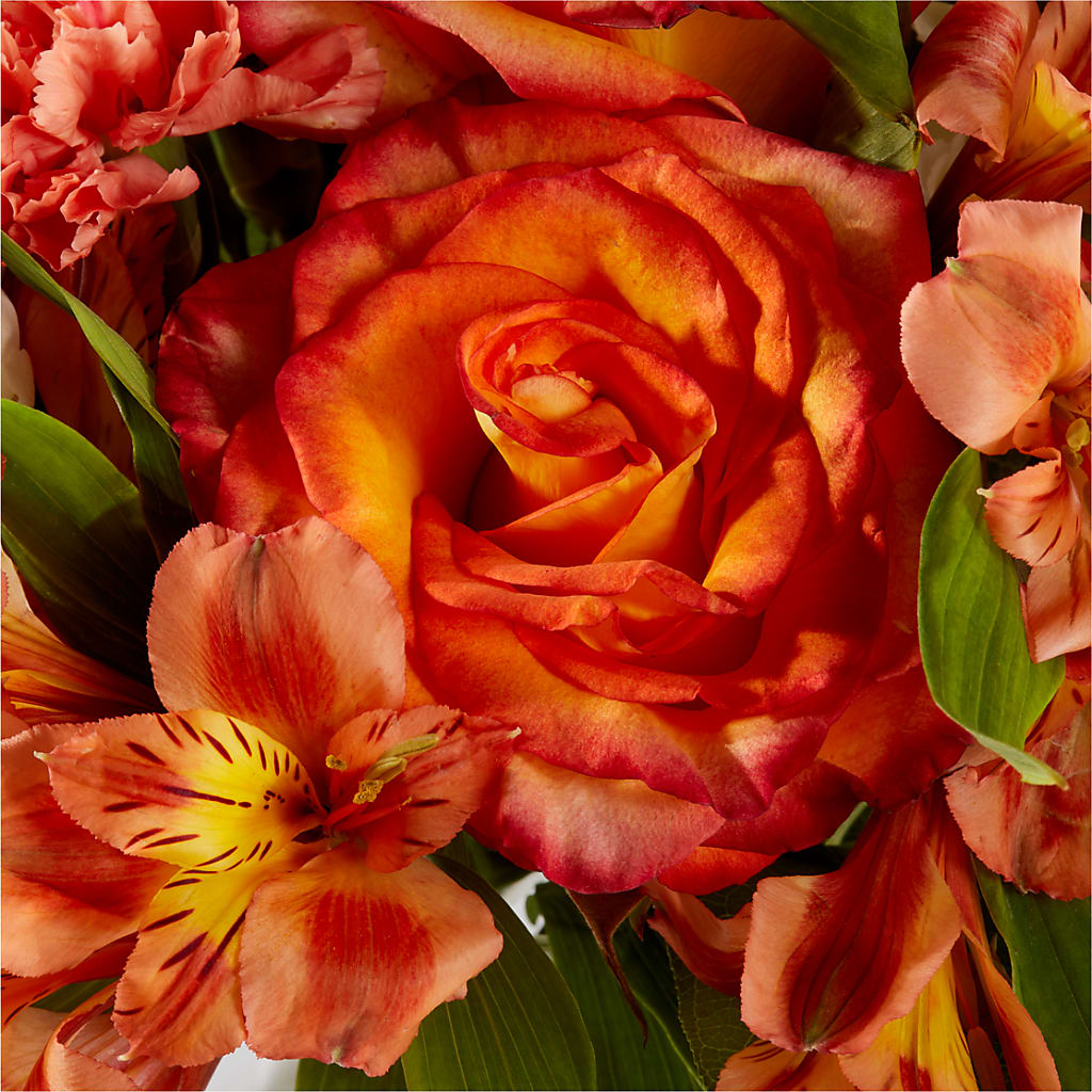 Apricot Glow Bouquet –  The Blessed Florist, Brandon FL