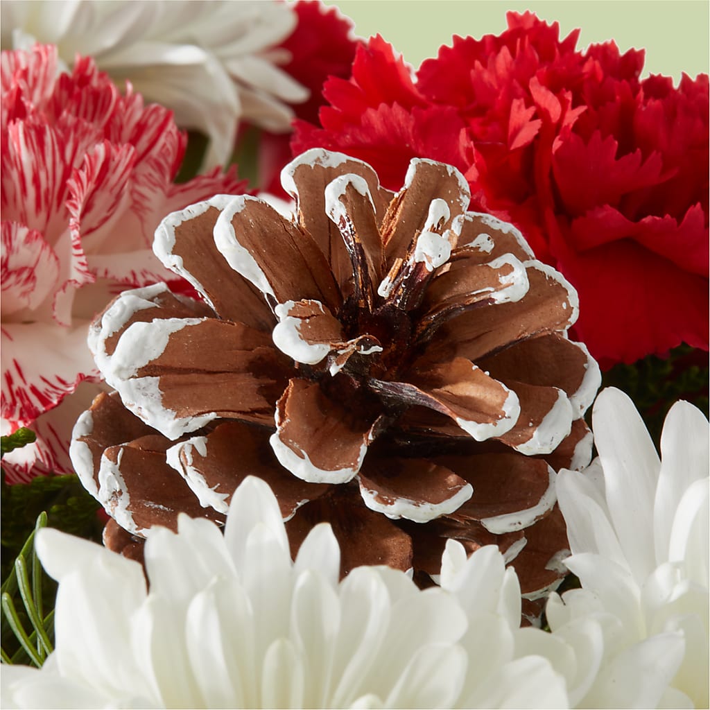 Candy Cane Lane Bouquet –  The Blessed Florist, Brandon FL
