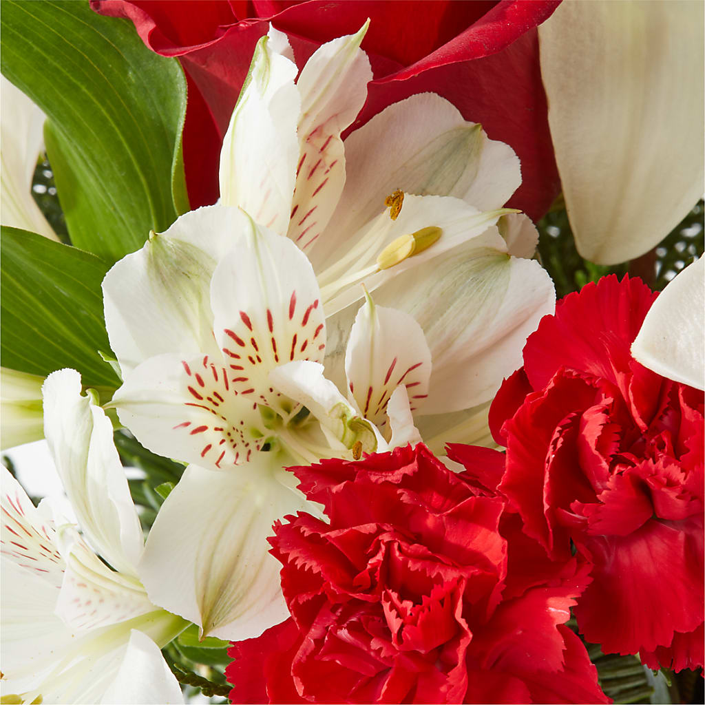 Holiday Season Bouquet –  The Blessed Florist, Brandon FL