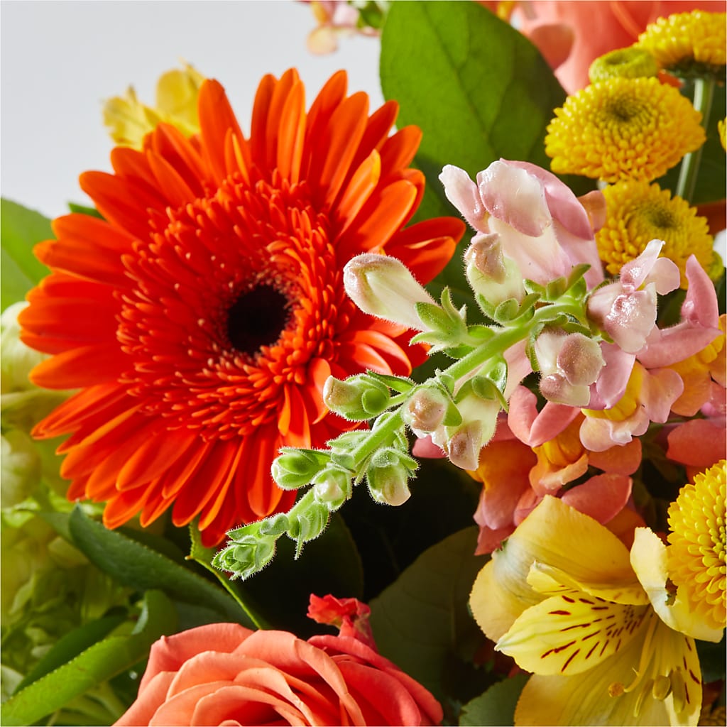 Autumn Sunshine Bouquet –  The Blessed Florist, Brandon FL