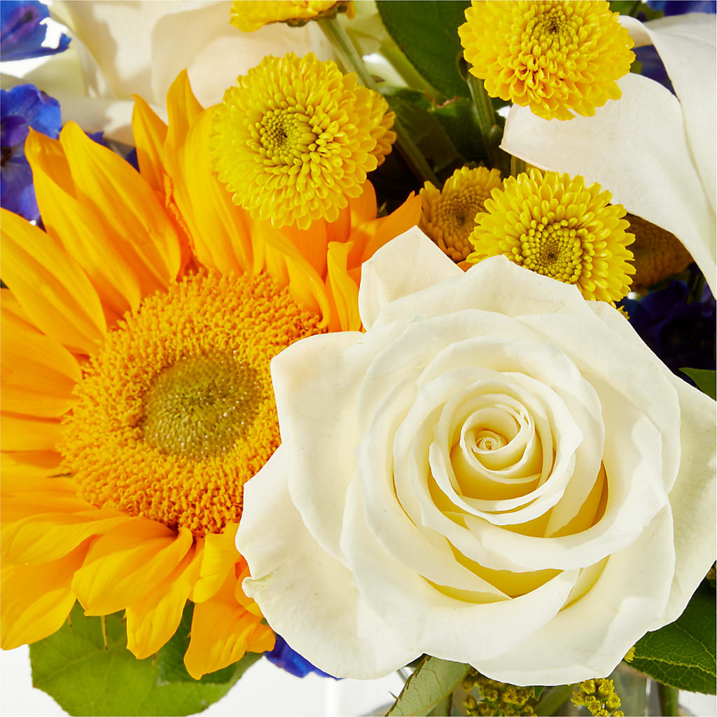 Stargazing Bouquet –  The Blessed Florist, Brandon FL