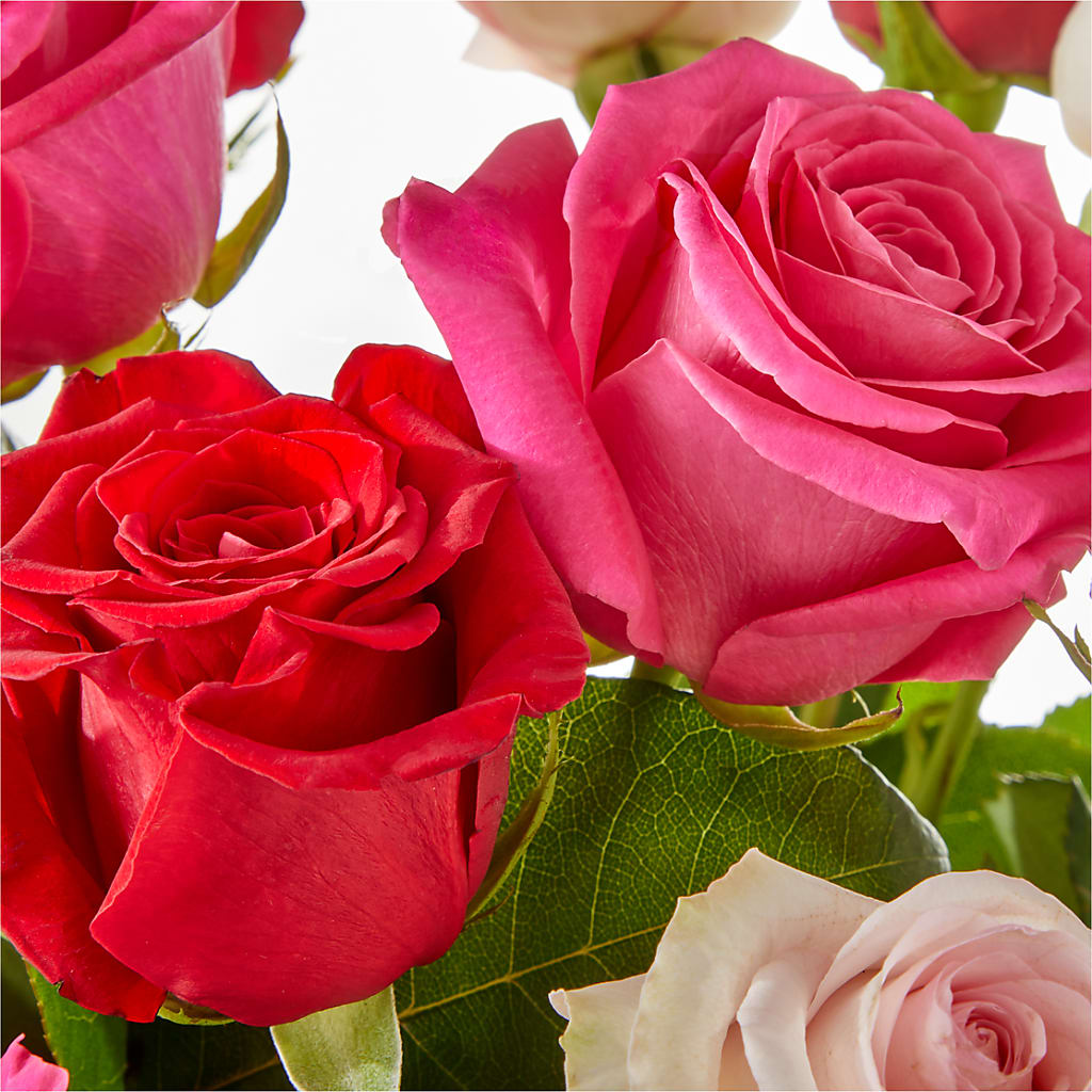 Charming Rose Bouquet –  The Blessed Florist, Brandon FL