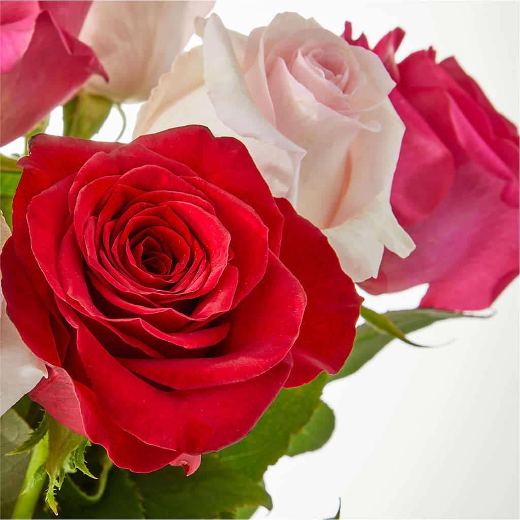 Charming Rose Bouquet –  The Blessed Florist, Brandon FL