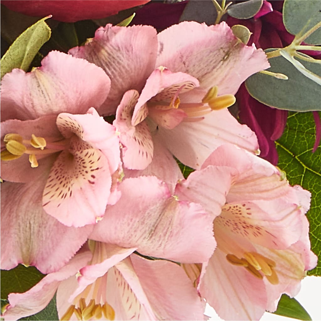 Berry Cobbler Bouquet –  The Blessed Florist, Parrish FL