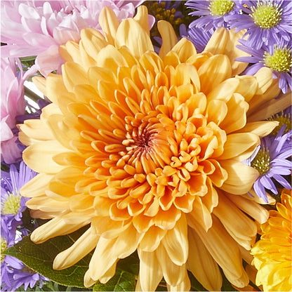 Countryside Bouquet –  The Blessed Florist, Brandon FL