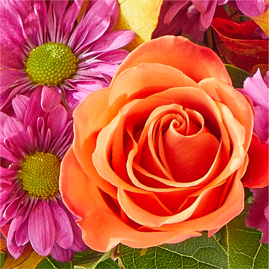 Mum's the Word Bouquet –  The Blessed Florist, Brandon FL