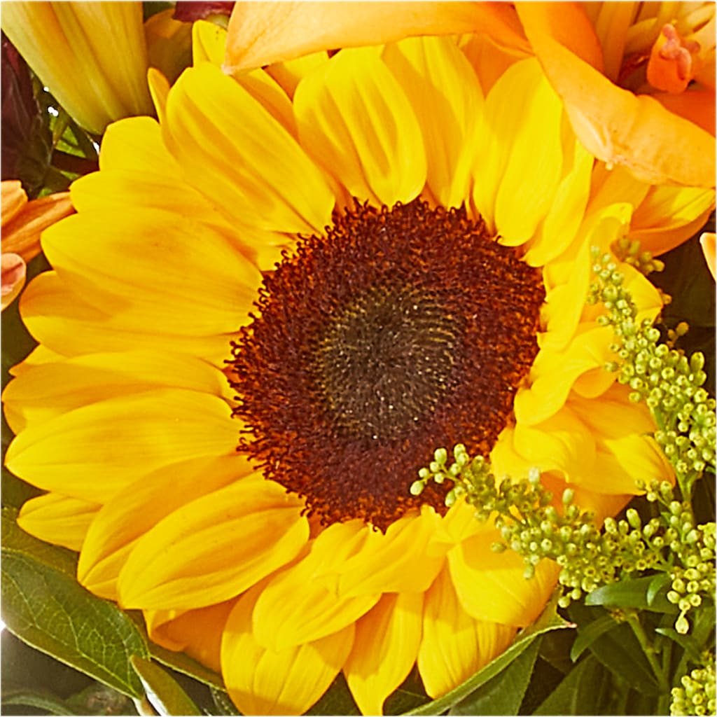 Seasons Change Bouquet –  The Blessed Florist, Parrish FL