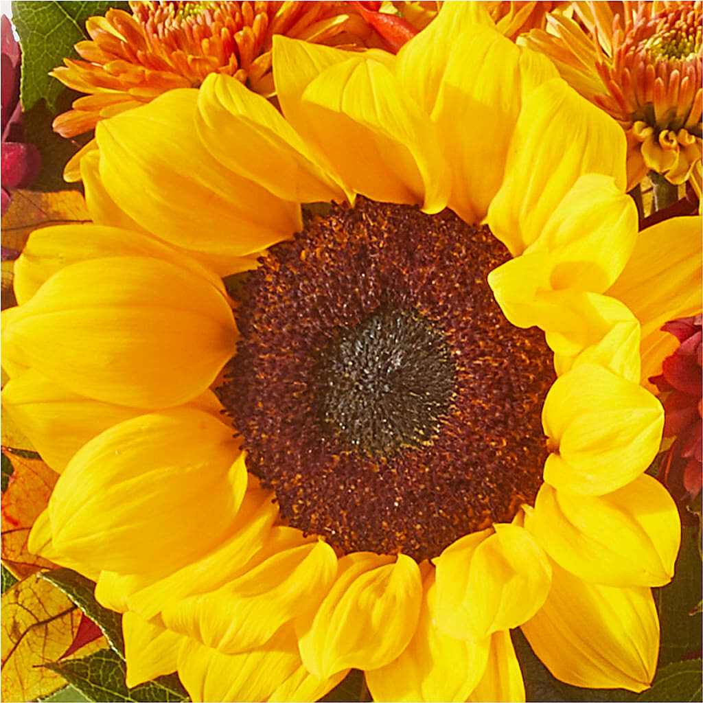 Sunny Side Bouquet –  The Blessed Florist, Brandon FL