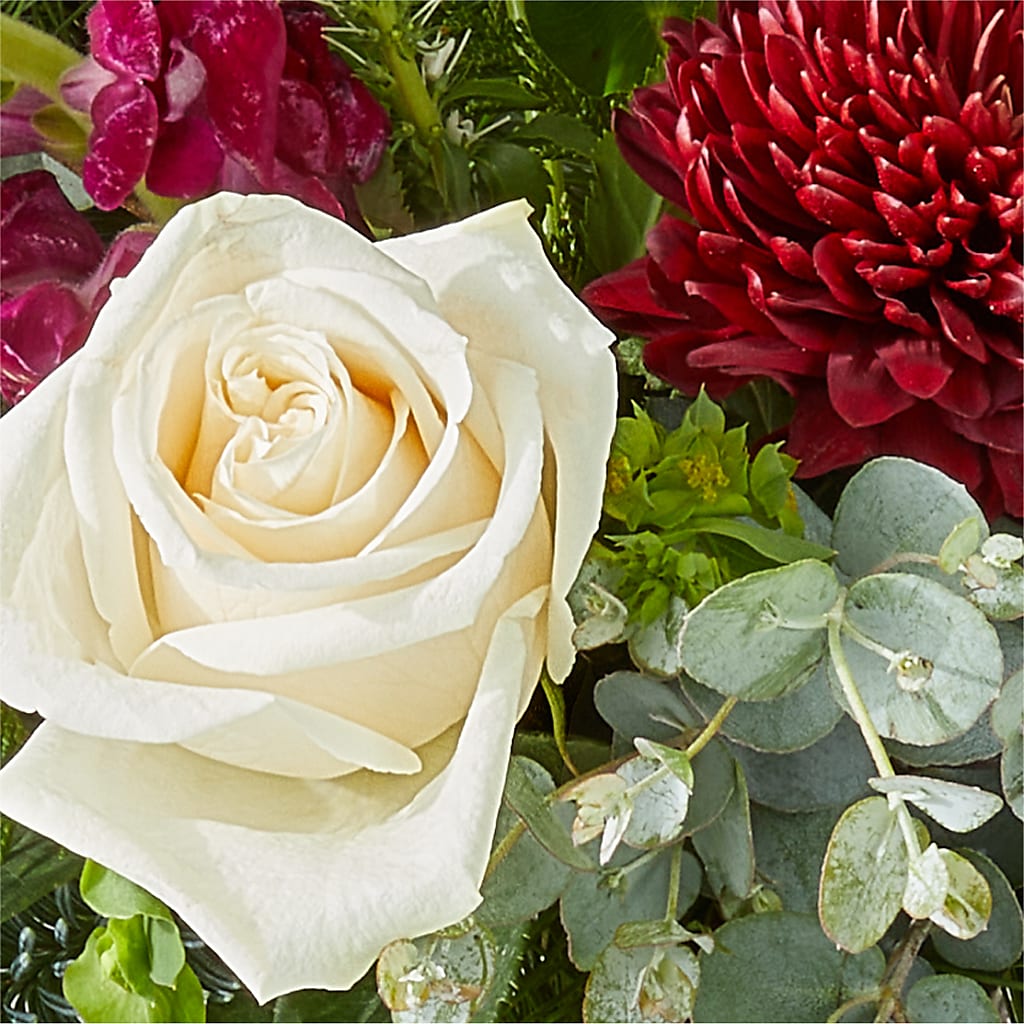 Cranberry Fizz Bouquet –  The Blessed Florist, Brandon FL