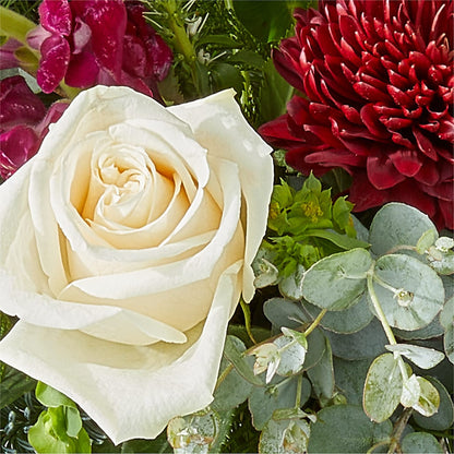 Cranberry Fizz Bouquet –  The Blessed Florist, Brandon FL