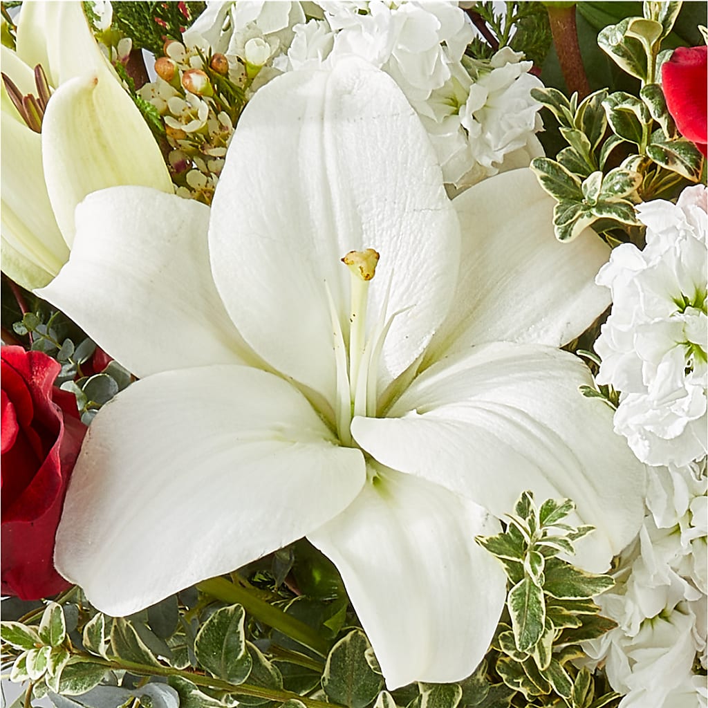 Twinkle Lights Bouquet –  The Blessed Florist, Brandon FL