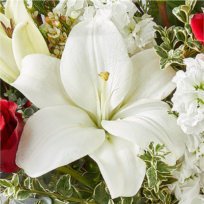 Twinkle Lights Bouquet –  The Blessed Florist, Brandon FL