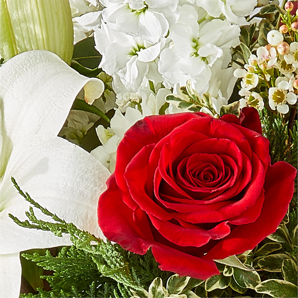 Twinkle Lights Bouquet –  The Blessed Florist, Brandon FL