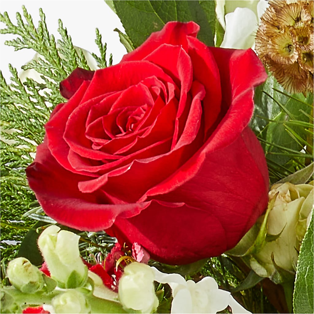 Deck the Halls Bouquet –  The Blessed Florist, Brandon FL