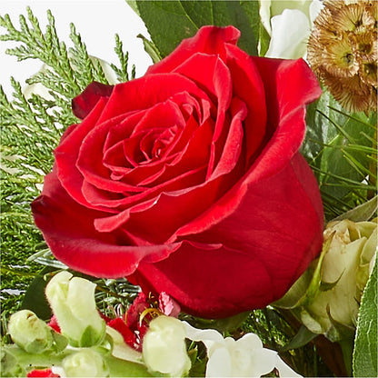 Deck the Halls Bouquet –  The Blessed Florist, Brandon FL