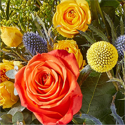 Disco Bouquet –  The Blessed Florist, Brandon FL