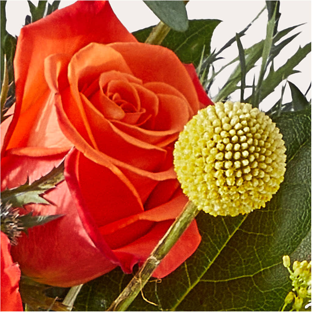 Disco Bouquet –  The Blessed Florist, Brandon FL
