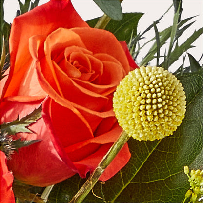 Disco Bouquet –  The Blessed Florist, Brandon FL