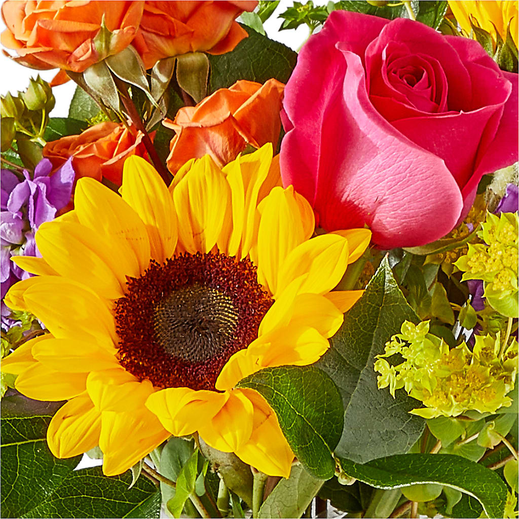 Vibrant Greetings Bouquet –  The Blessed Florist, Brandon FL