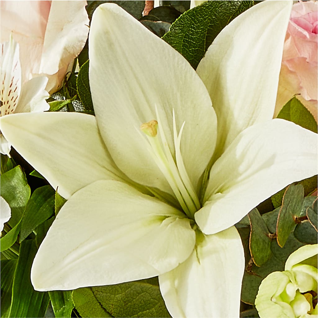Ballet Slippers Bouquet –  The Blessed Florist, Brandon FL