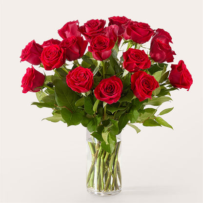 The One Red Rose Bouquet –  The Blessed Florist, Brandon FL