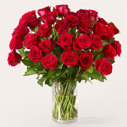 The One Red Rose Bouquet –  The Blessed Florist, Brandon FL