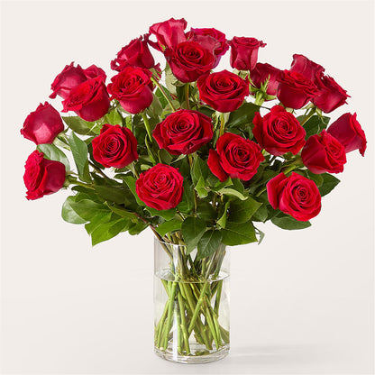 The One Red Rose Bouquet –  The Blessed Florist, Brandon FL