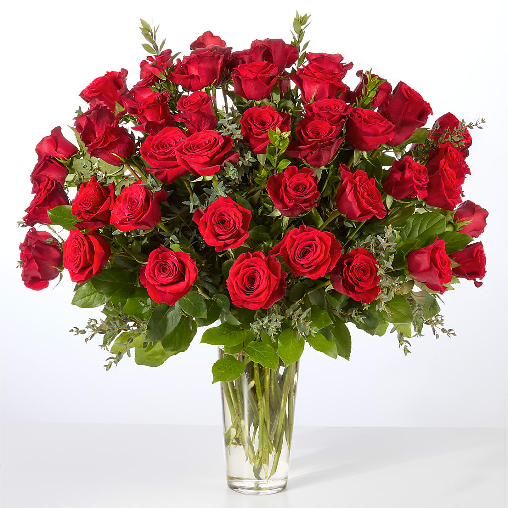 Forever Yours Fifty Stem Red Rose Bouquet –  The Blessed Florist, Brandon FL