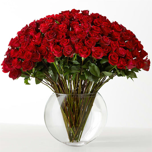 The Idealist –  The Blessed Florist, Brandon FL
