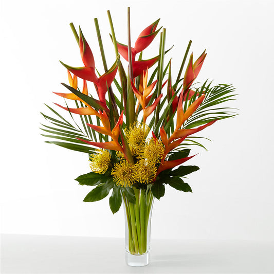 The Drama – THE BLESSED FLORIST, Brandon FL