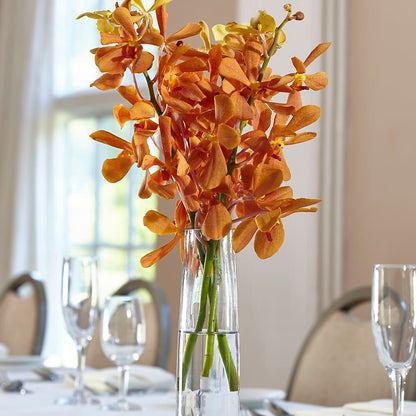 Orange Mokara Bud Vase –  The Blessed Florist, Brandon FL