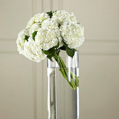 White Hydrangea Hand-Tied Bouquet –  The Blessed Florist, Brandon FL