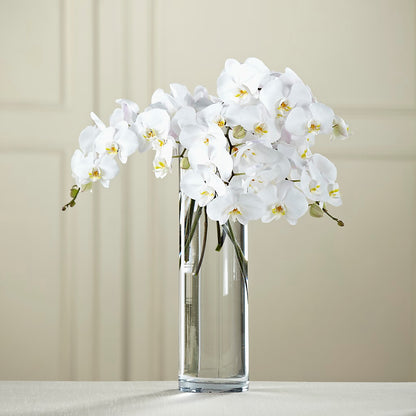 White Phalaenopsis Bouquet –  The Blessed Florist, Brandon FL