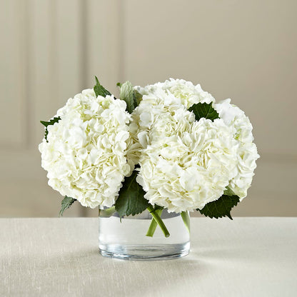 White Hydrangea Bouquet –  The Blessed Florist, Brandon FL